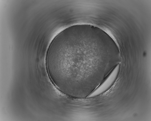 X0000091061197200708131123