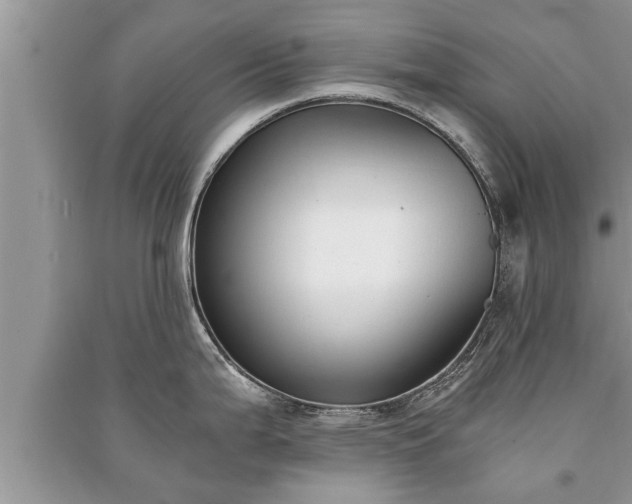 X0000091061199200708131123