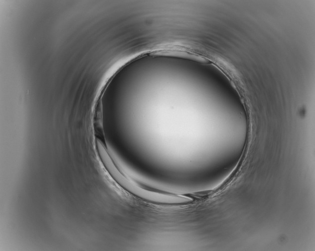 X0000091061200200708131123