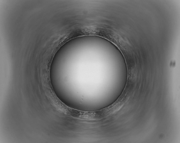 X0000091061201200708131122