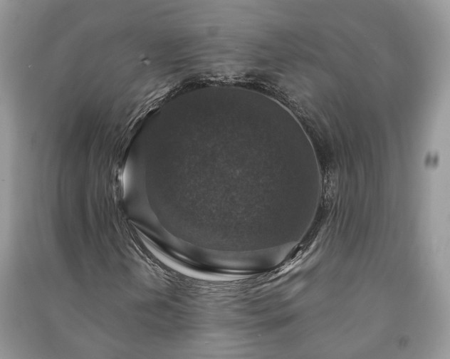 X0000091061202200708131122