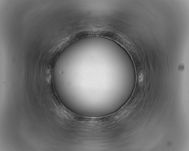 X0000091061204200708131122