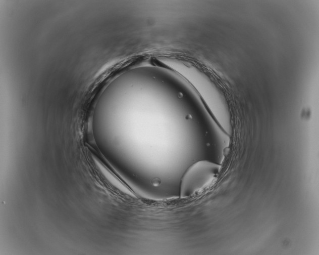 X0000091061206200708131122