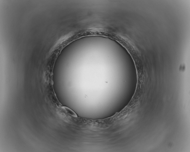 X0000091061207200708131122