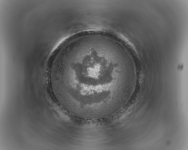 X0000091061208200708131122