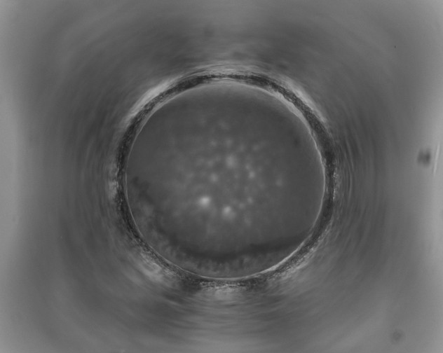 X0000091061213200708131122