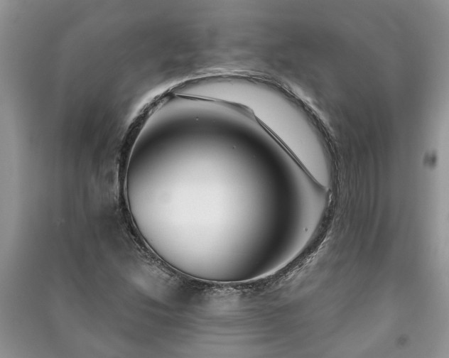 X0000091061214200708131122