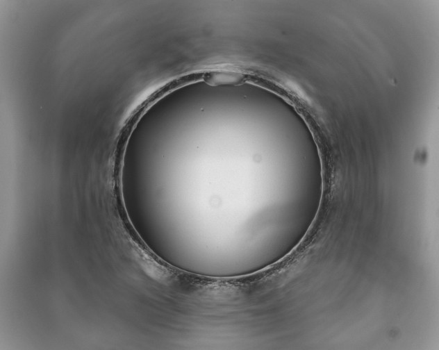 X0000091061216200708131122