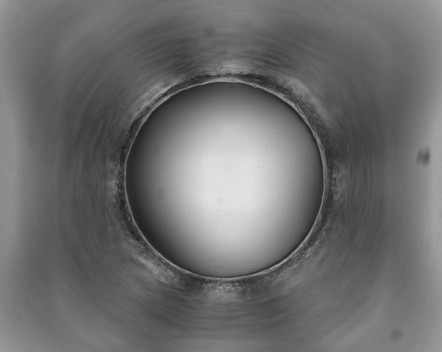 X0000091061217200708131122