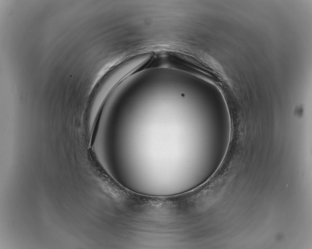 X0000091061218200708131122
