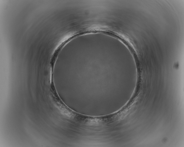 X0000091061219200708131122