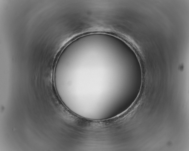 X0000091061220200708131122
