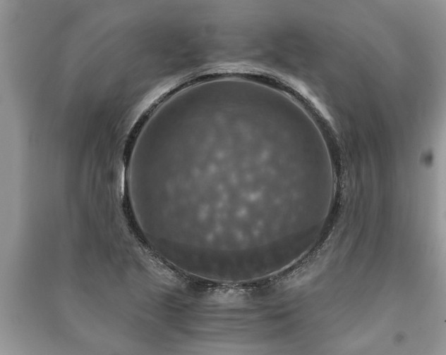 X0000091061221200708131122