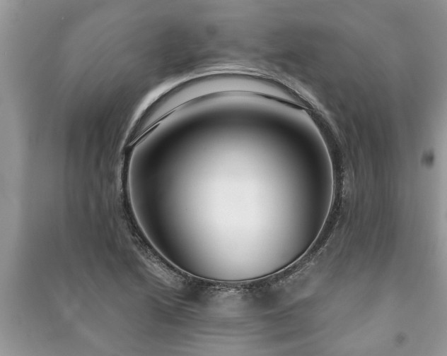 X0000091061222200708131122