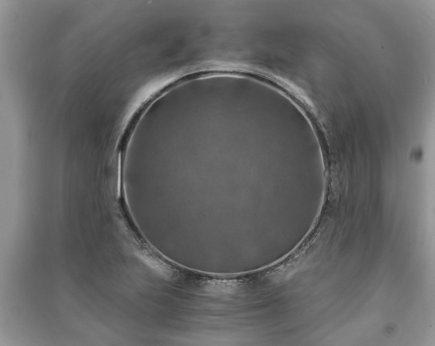 X0000091061223200708131122