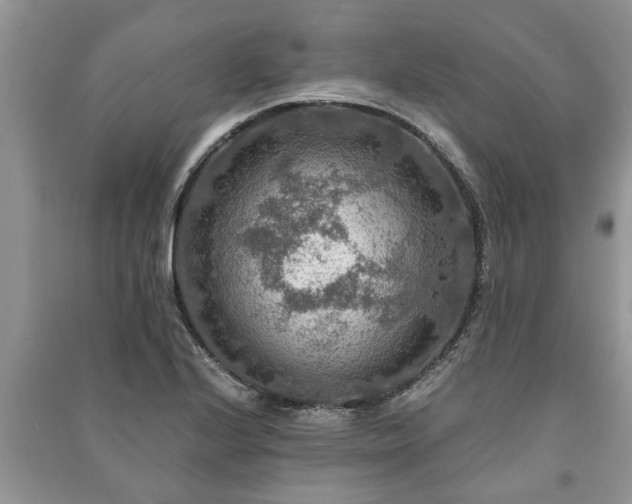 X0000091061224200708131122