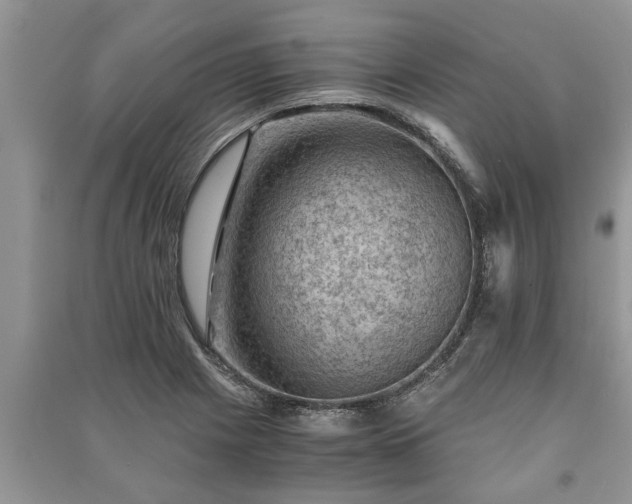 X0000091061225200708131122