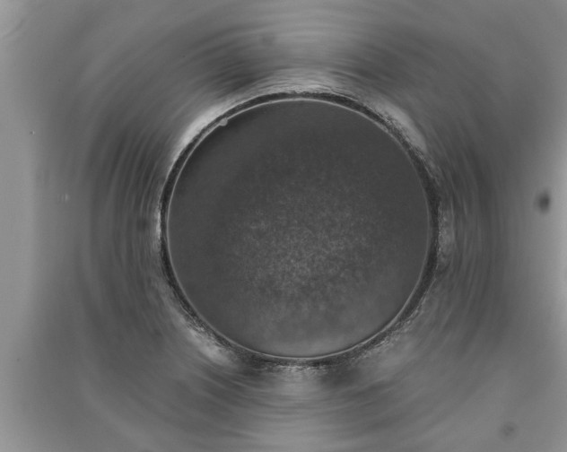 X0000091061226200708131122
