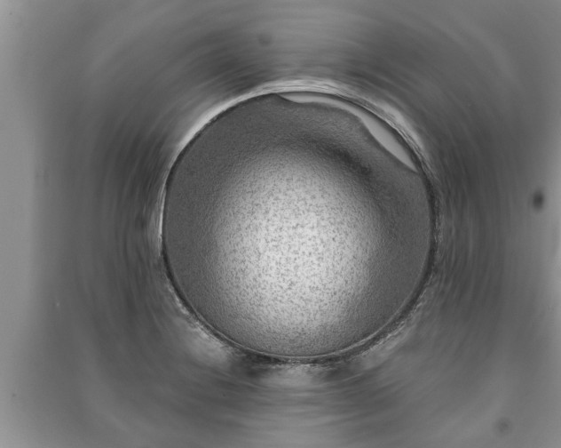 X0000091061228200708131122
