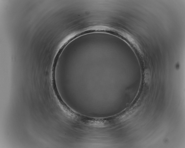 X0000091061229200708131122