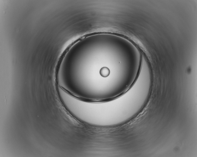 X0000091061230200708131122