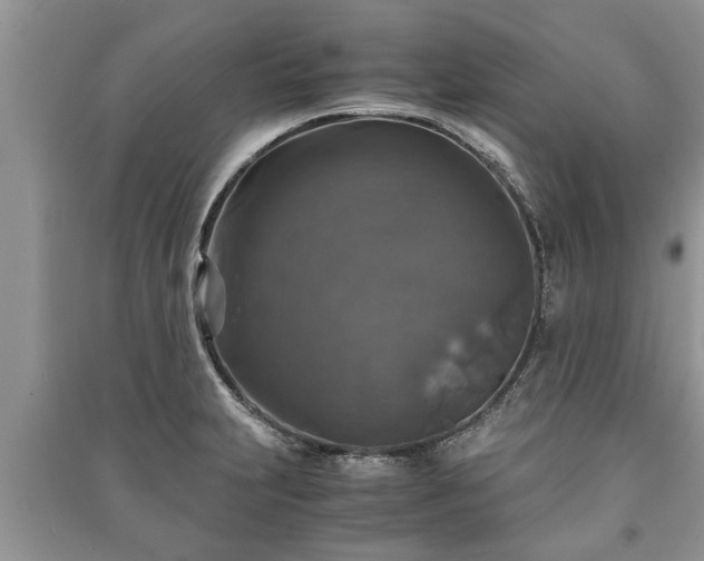X0000091061231200708131122