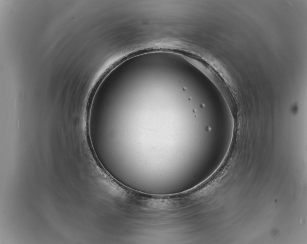 X0000091061232200708131122