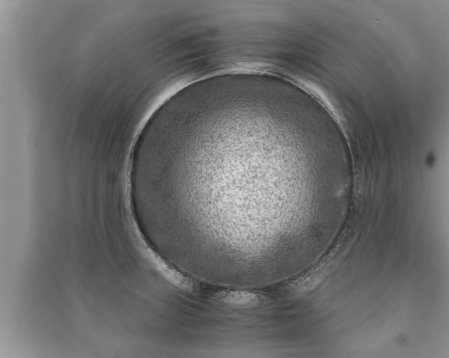 X0000091061235200708131123