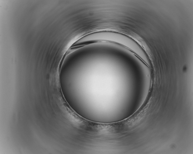 X0000091061242200708131123