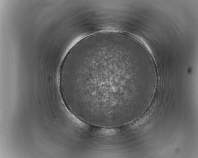 X0000091061243200708131123