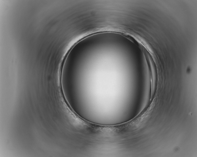 X0000091061246200708131123
