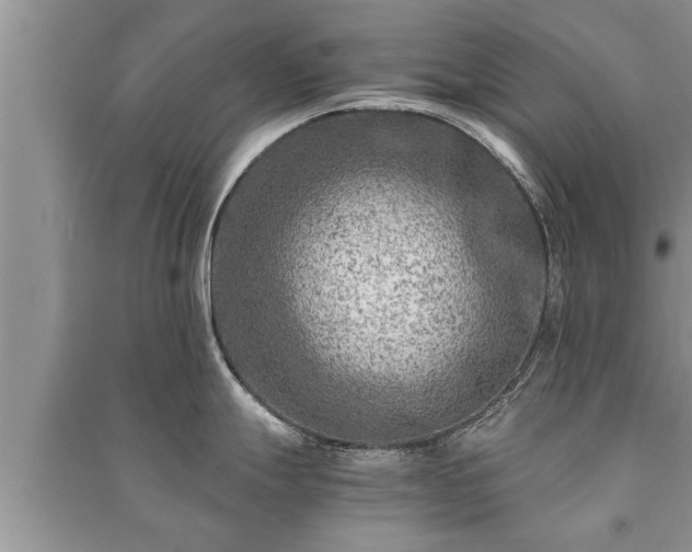 X0000091061247200708131123