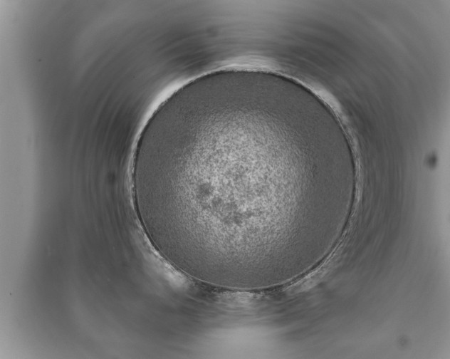 X0000091061248200708131123