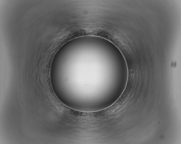 X0000091061249200708131122