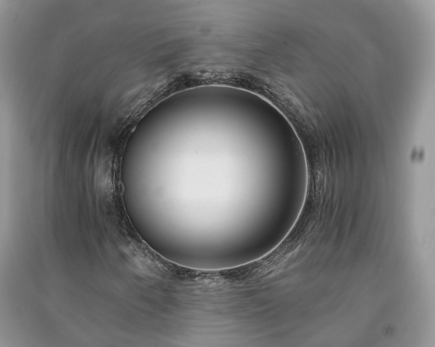 X0000091061250200708131122