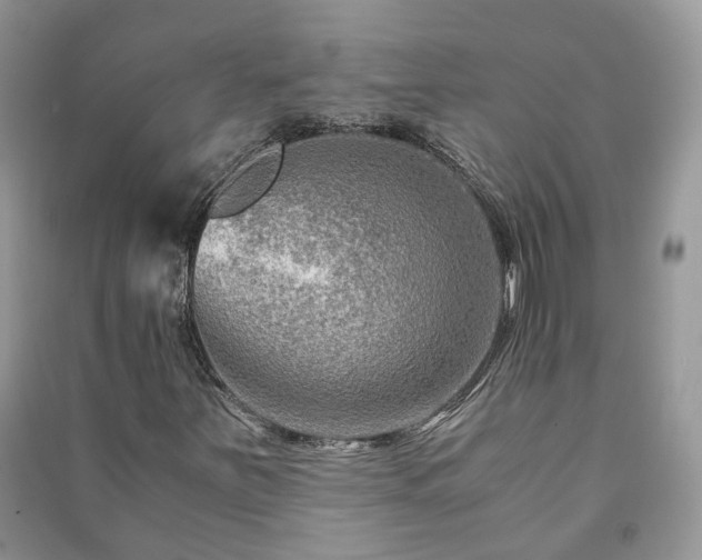 X0000091061251200708131122