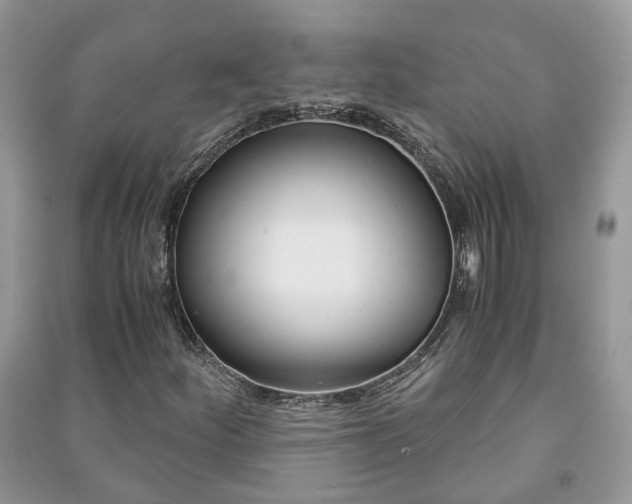 X0000091061252200708131122