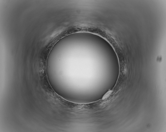 X0000091061253200708131122