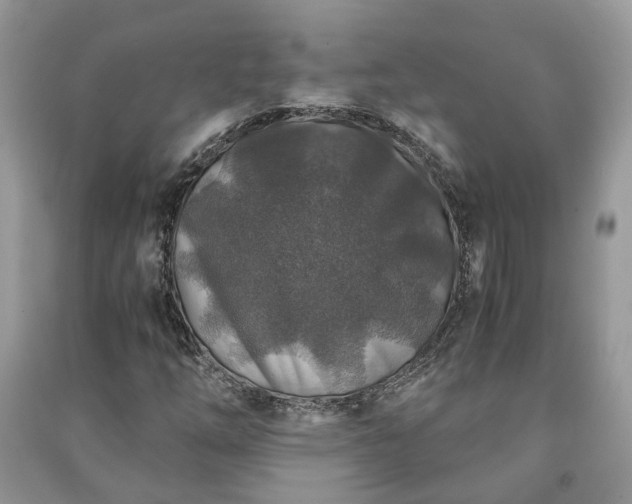 X0000091061254200708131122