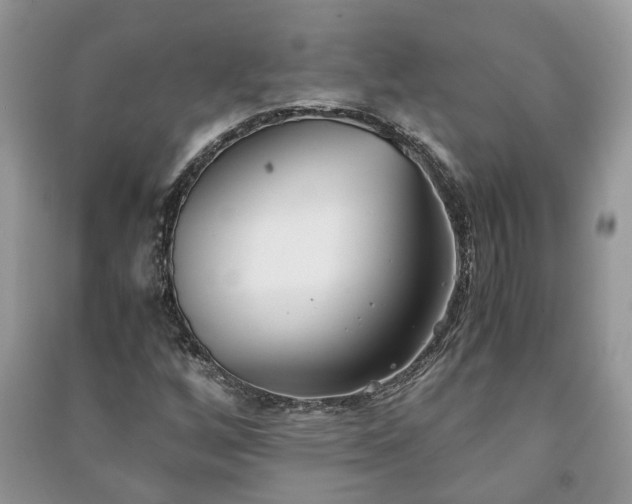 X0000091061256200708131122