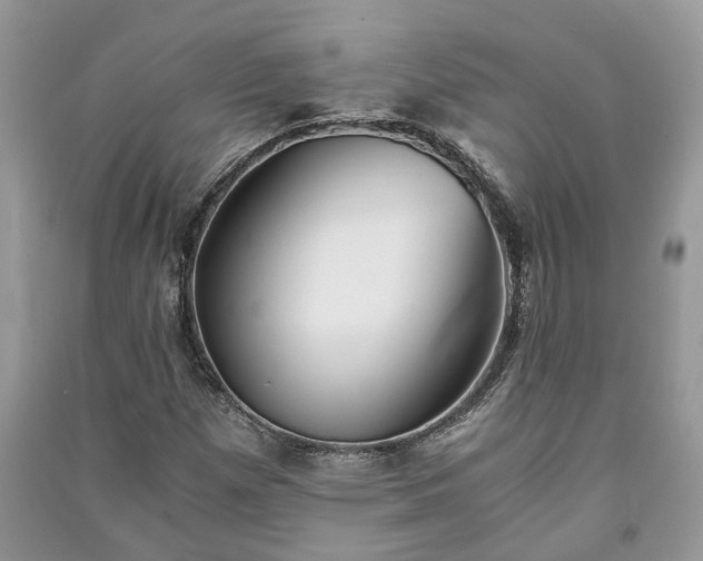 X0000091061257200708131122