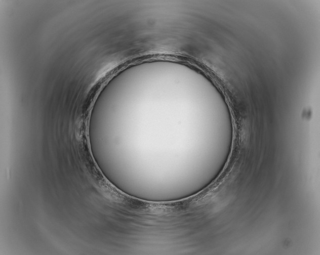 X0000091061258200708131122