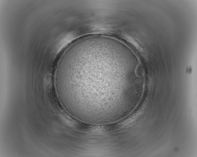 X0000091061259200708131122
