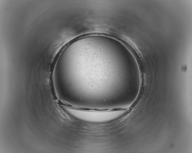 X0000091061260200708131122