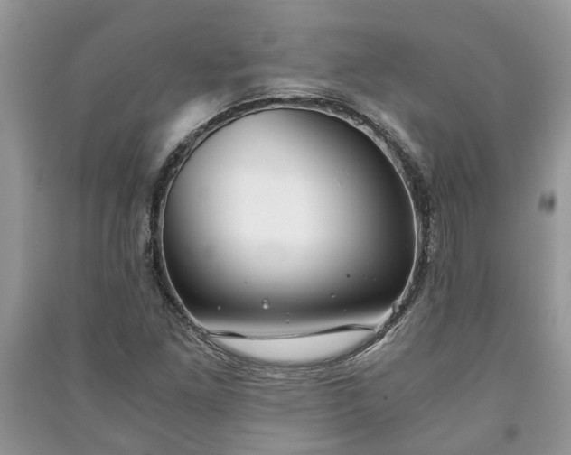 X0000091061261200708131122
