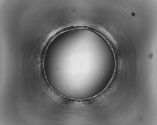 X0000091061264200708131122