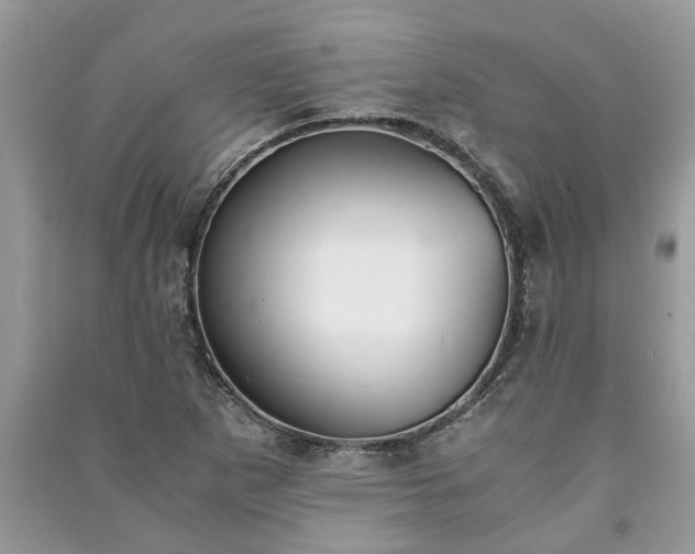 X0000091061265200708131122
