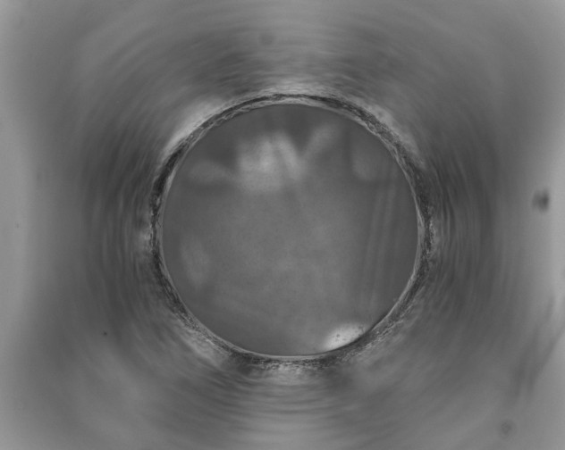 X0000091061266200708131122