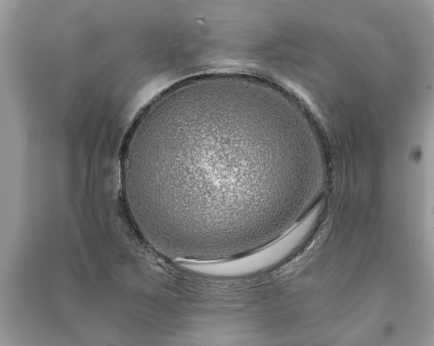 X0000091061267200708131122