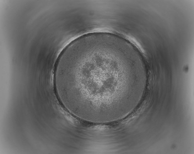 X0000091061268200708131122